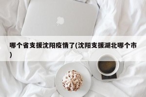 哪个省支援沈阳疫情了(沈阳支援湖北哪个市)